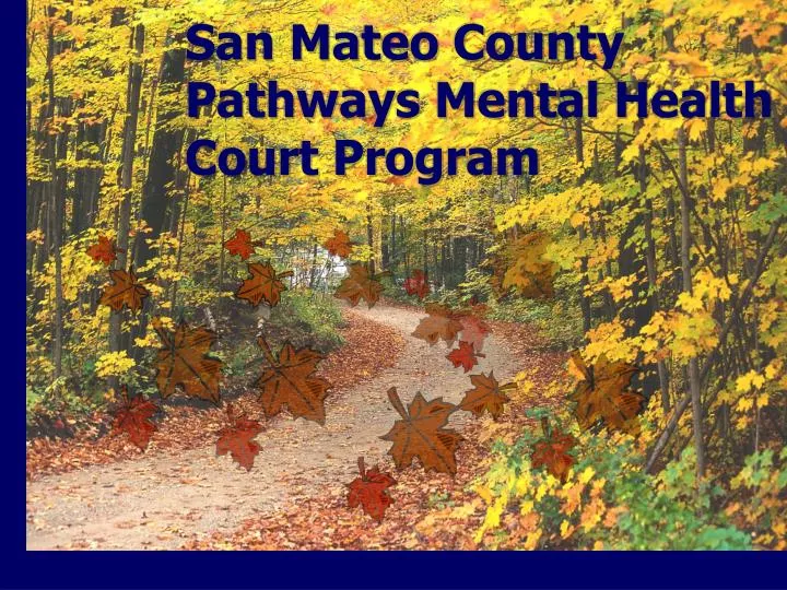 san mateo county pathways mental health court program