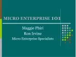 MICRO ENTERPRISE 101 - slide 1