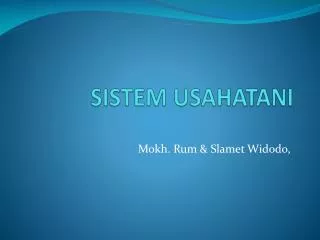sistem usahatani