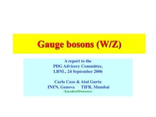 Gauge bosons (W/Z)