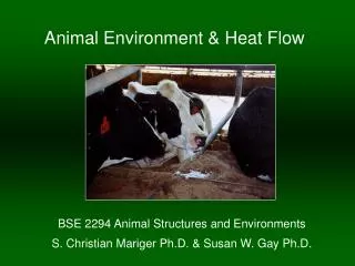 Animal Environment &amp; Heat Flow