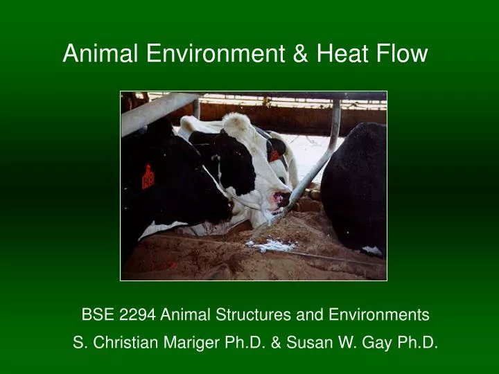 animal environment heat flow