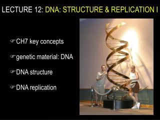 CH7 key concepts genetic material: DNA DNA structure DNA replication