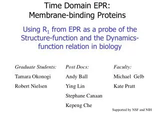 Time Domain EPR: Membrane-binding Proteins