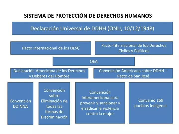 sistema de protecci n de derechos humanos