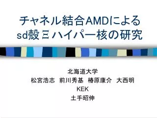 amd sd