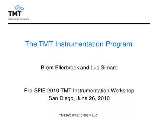 The TMT Instrumentation Program