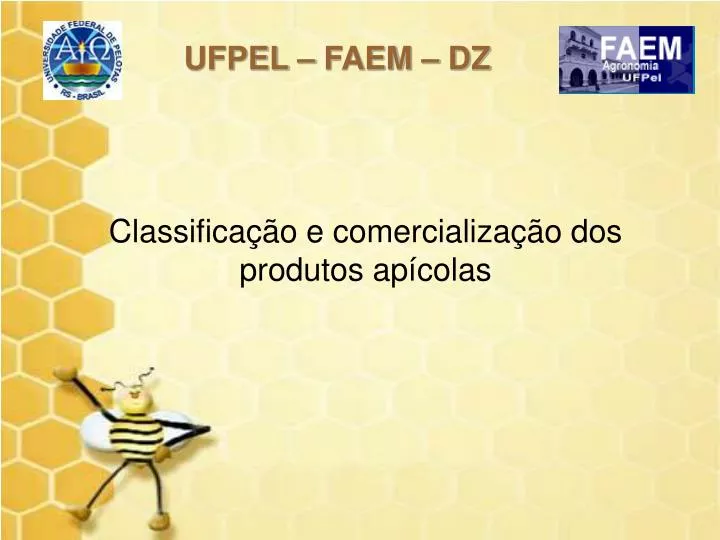 ufpel faem dz