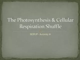The Photosynthesis &amp; Cellular Respiration Shuffle