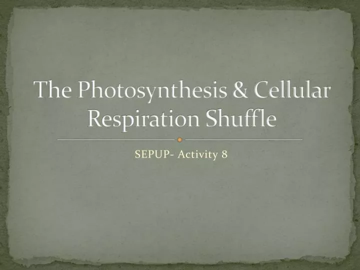 the photosynthesis cellular respiration shuffle