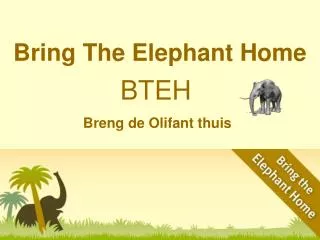 bring the elephant home