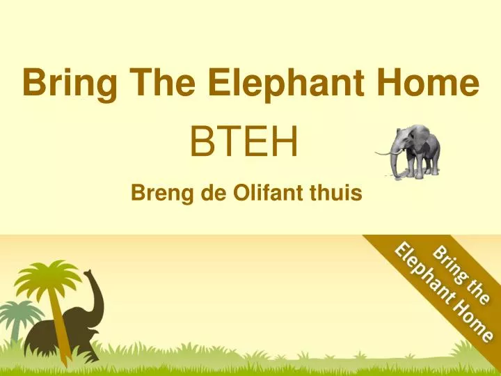 bring the elephant home