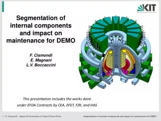 Segmentation of internal components and impact on maintenance for DEMO F. Cismondi E. Magnani