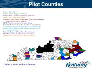 Pilot Counties