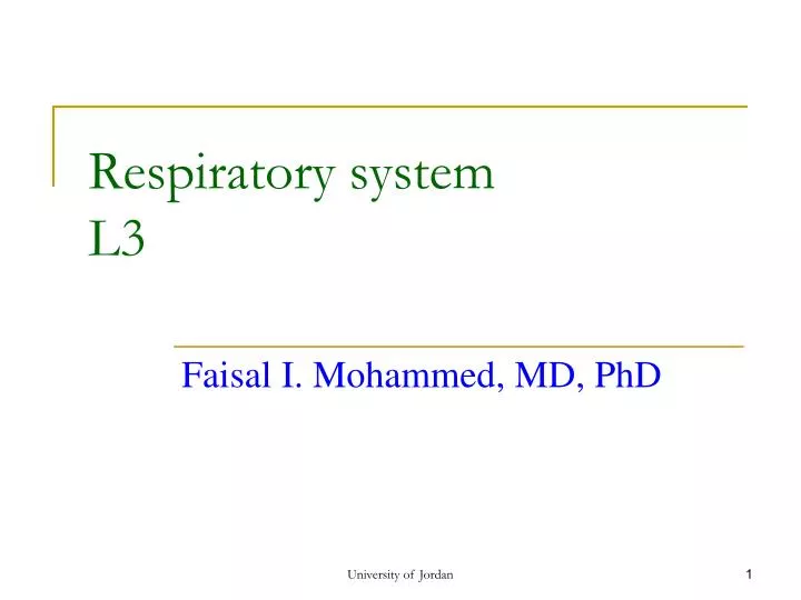 respiratory system l3