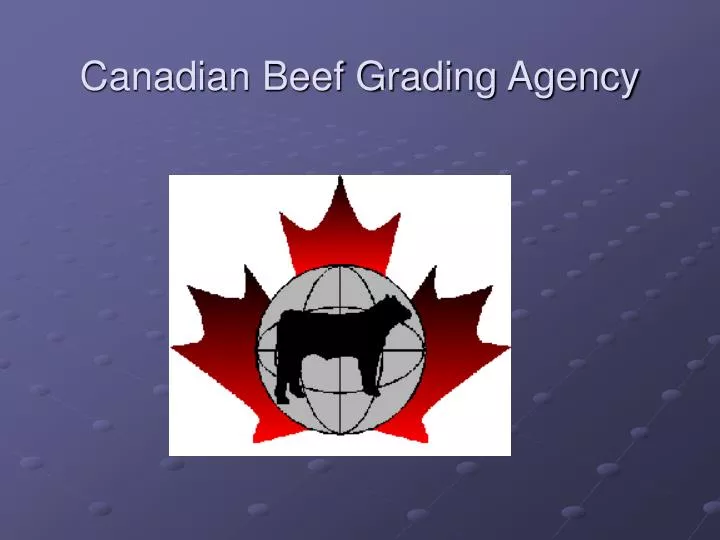 canadian beef grading agency