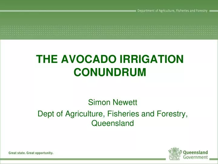 the avocado irrigation conundrum