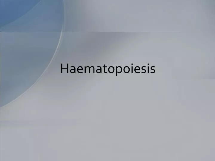 haematopoiesis