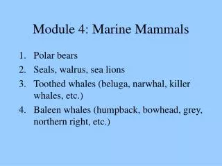Module 4: Marine Mammals