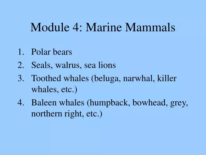 module 4 marine mammals