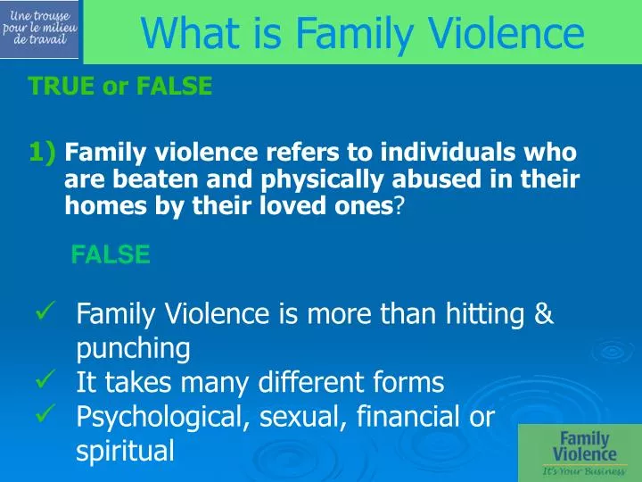 what is family violence