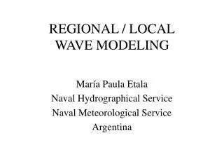 REGIONAL / LOCAL WAVE MODELING
