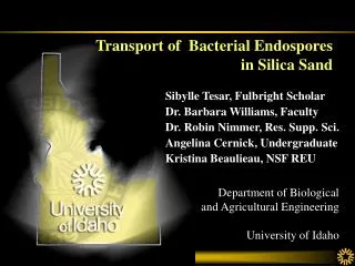 transport of bacterial endospores in silica sand