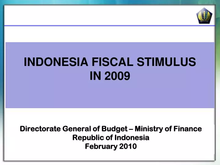 indonesia fiscal stimulus in 2009