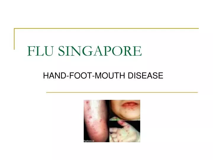 flu singapore