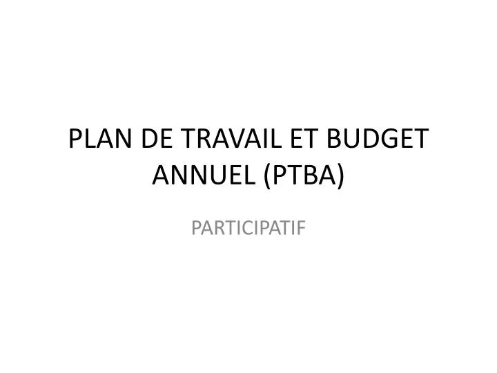 plan de travail et budget annuel ptba
