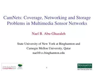 CamNets: Coverage, Networking and Storage Problems in Multimedia Sensor Networks