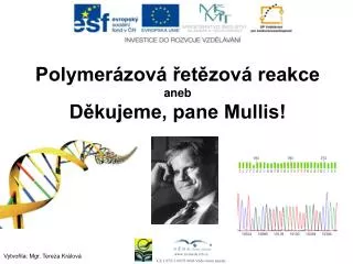polymer zov et zov reakce aneb d kujeme pane mullis