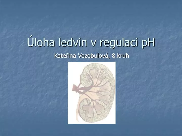 loha ledvin v regulaci ph