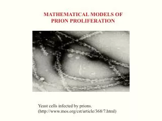 MATHEMATICAL MODELS OF PRION PROLIFERATION