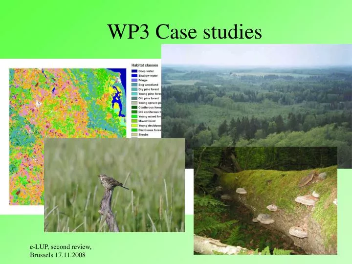 wp3 case studies