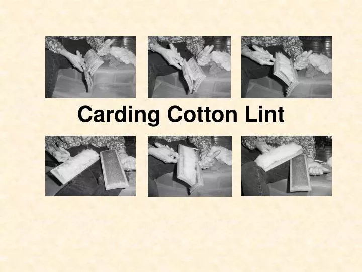 carding cotton lint