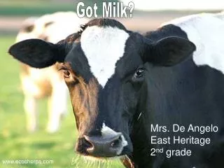 Mrs. De Angelo 						 East Heritage 						 2 nd grade