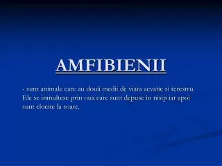 amfibienii