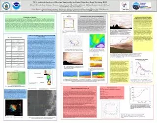 P4.21 Multiscale Analyses of Moisture Transport by the Central Plains Low-Level Jet during IHOP