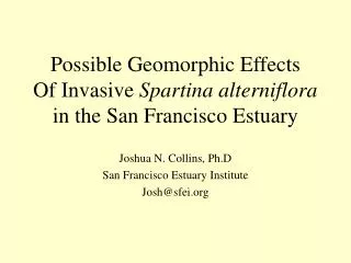 Possible Geomorphic Effects Of Invasive Spartina alterniflora in the San Francisco Estuary