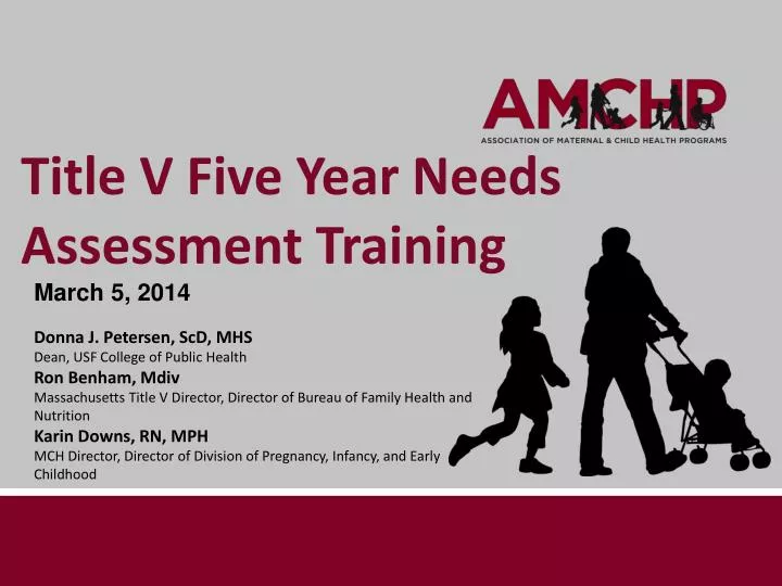 title v five year needs assessment training