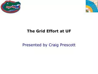 The Grid Effort at UF
