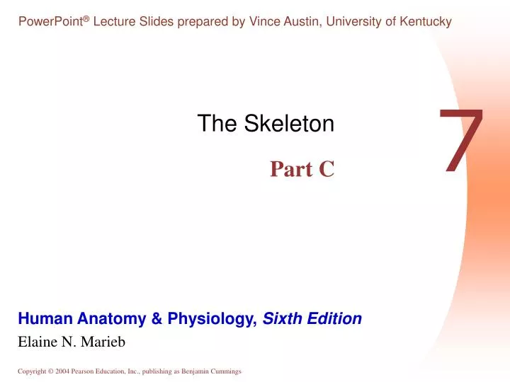 the skeleton part c