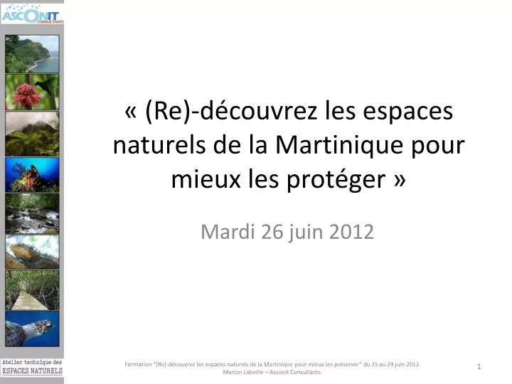 re d couvrez les espaces naturels de la martinique pour mieux les prot ger