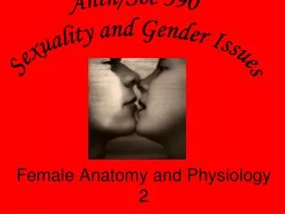 Female Anatomy and Physiology 2