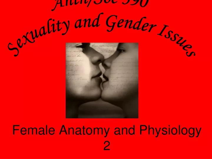 female anatomy and physiology 2