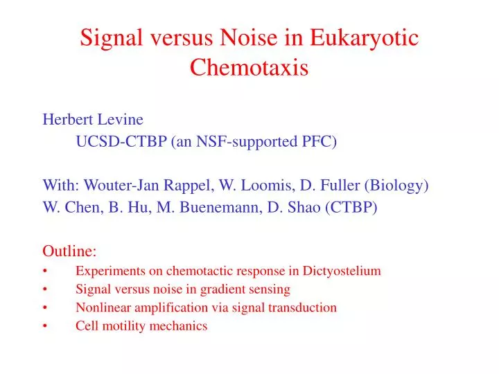 signal versus noise in eukaryotic chemotaxis