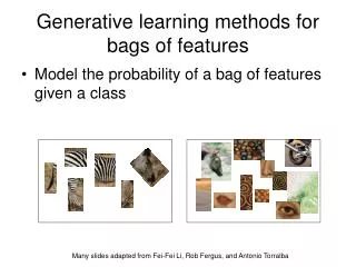 Generative learning methods for bags of features