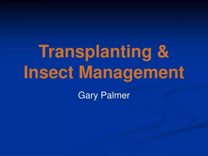 transplanting insect management