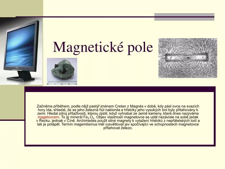 magnetick pole